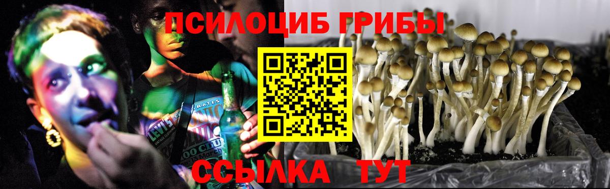 Галлюциногенные грибы Psilocybine cubensis  закладки  Луховицы  Вход с VPN 